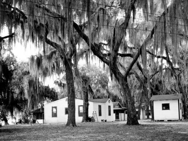 Mayor C. D. Anderson's fish camp - Welaka, Florida