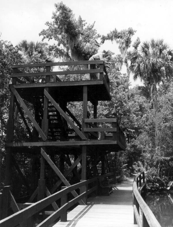 Observation tower at Homosassa Springs - Citrus County, Florida