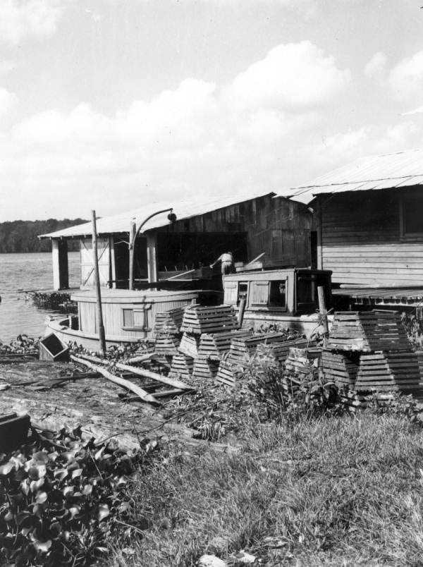Stacked crates outside Douglas Fisheries - Welaka, Florida.