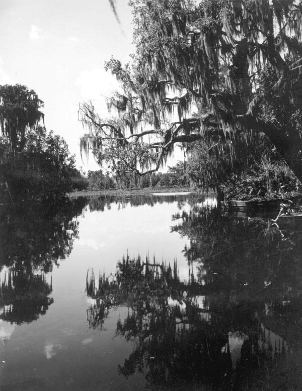 View of Cross Creek - Cross Creek, Florida