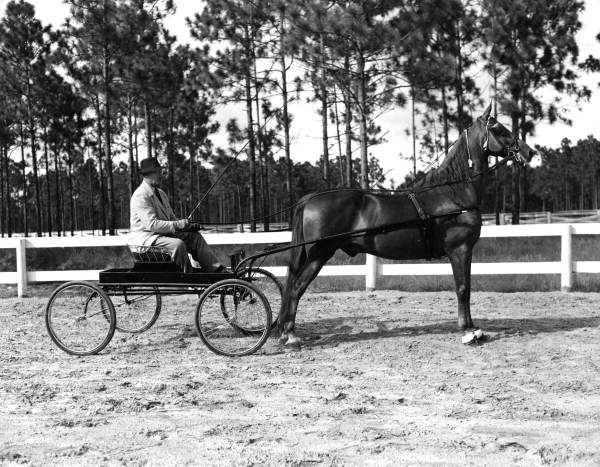 F.W. Truex and his horse, Red Eagle - Orange Park, Florida