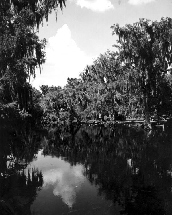 Scene at Cross Creek - Cross Creek, Florida