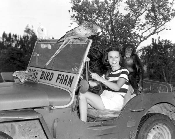 Frances Freeman taking a jeep ride at Rare Bird Farm