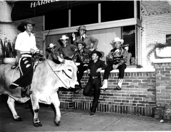 Bob Cobb riding his Brahman steer past the local cowboys - Ocala, Florida .