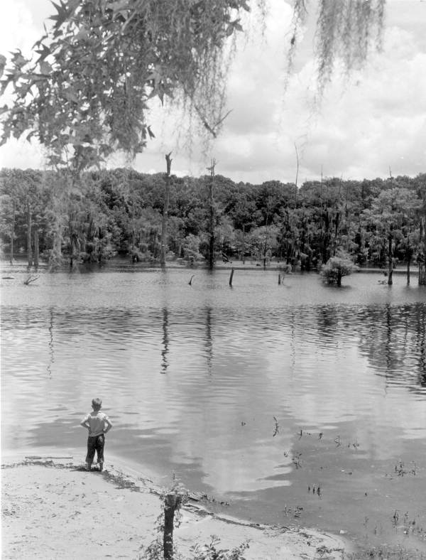 Unidentified boy looks at the Dead Lakes - Dead Lakes, Florida.