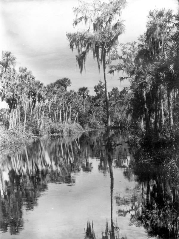 View of Marion Creek .