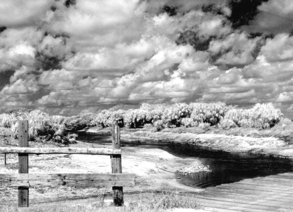Clouds over the landscape - Brighton Reservation, Florida