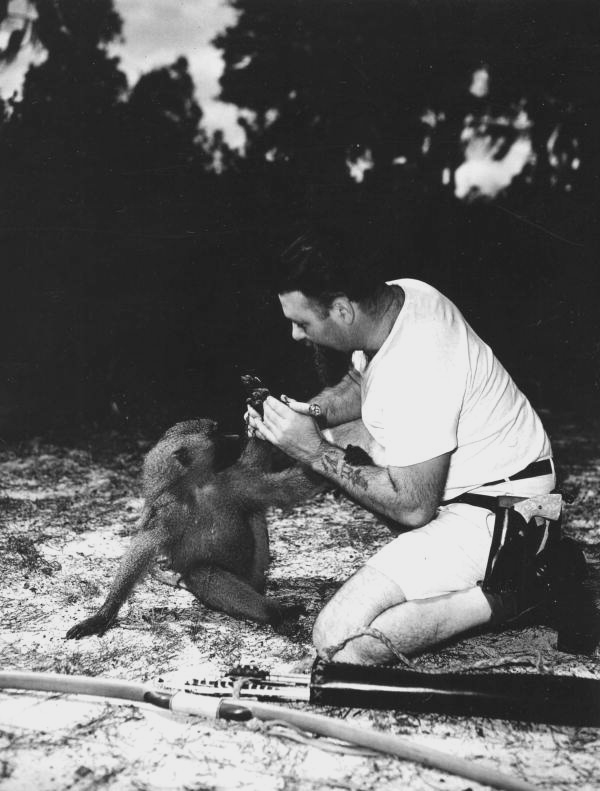 Al Zaebst removing thorn from Fanny - Weeki Wachee Spring, Florida