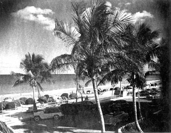 Automobiles shaded by palms on cabanas-ladened Fort Lauderdale Beach.