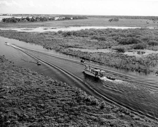 Several motorboats traveling on the Kissimmee River