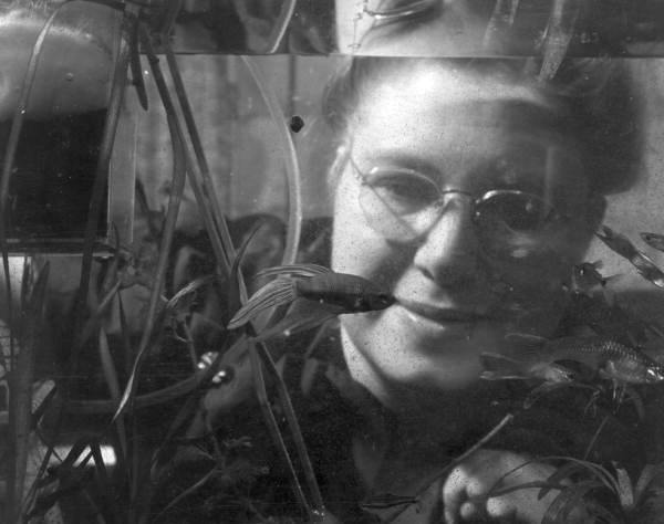 Carol Craig's collection of tropical fish - Tallahassee, Florida.