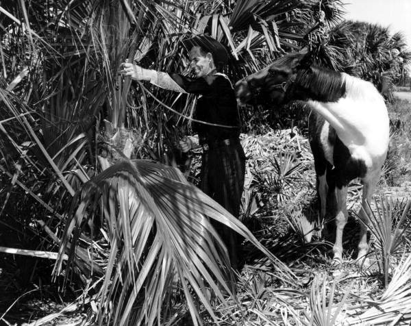 W. Eslinger cuts palmetto fronds for his polo game - New Smyrna Beach, Florida .