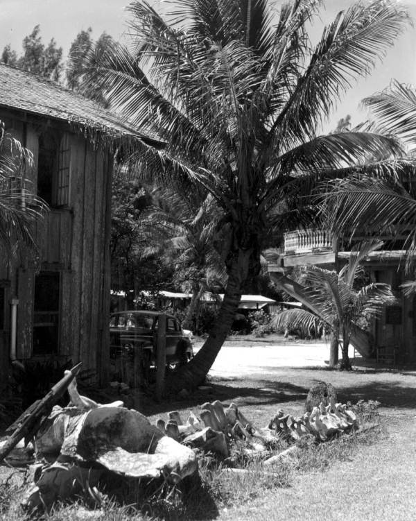Whale bones and harpoon outside Driftwood Inn - Vero Beach, Florida.