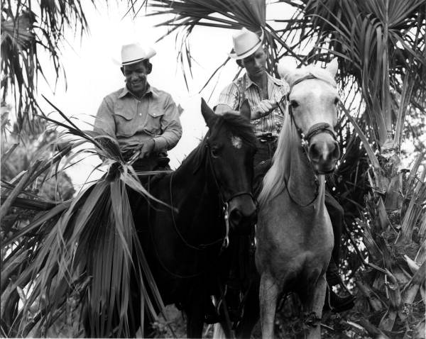W. Eslinger (left) and Don Massey preparing sticks from palmetto for a polo game - New Smyrna Beach, Florida.