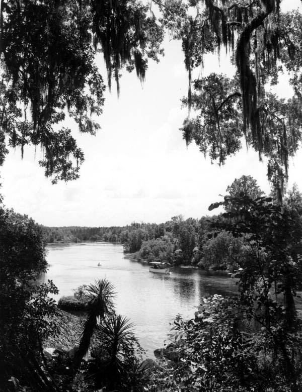 View of Rainbow Springs - Dunnellon, Florida .