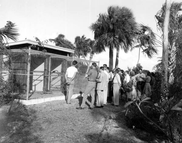 Members of the Inter-American Tourism Conference in front of a birdhouse at the Miami Rare Bird Farm - Kendall, Florida