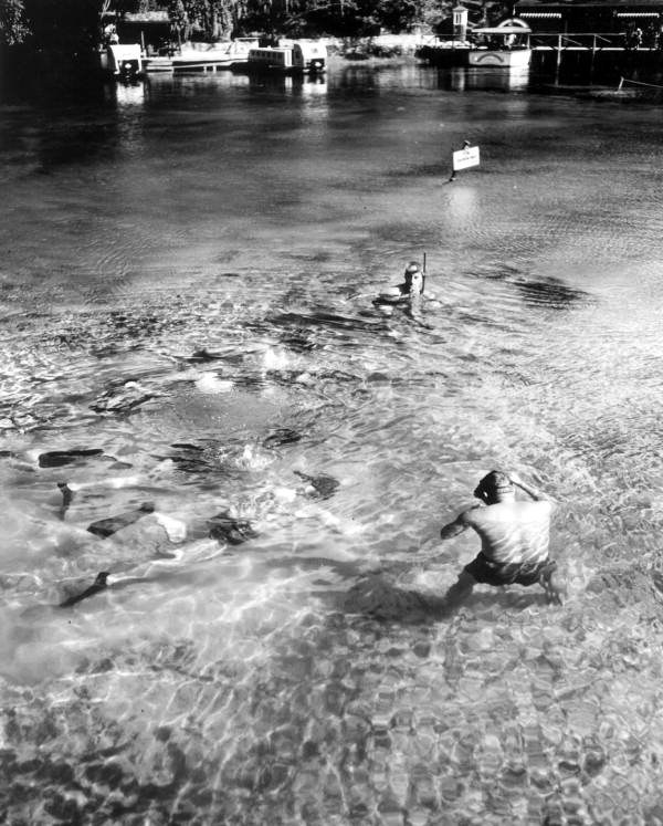 Underwater treasure hunt at Rainbow Springs - Dunnellon, Florida