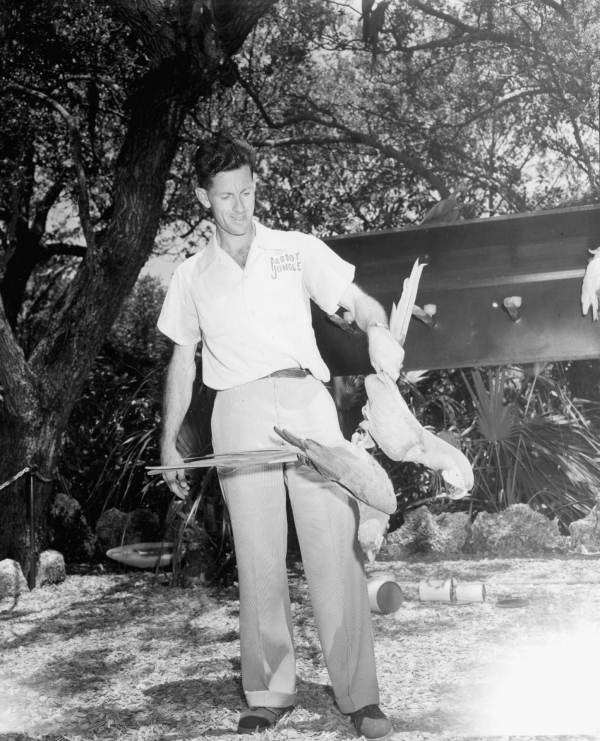 Parrot Jungle employee holds two parrots - Miami, Florida.