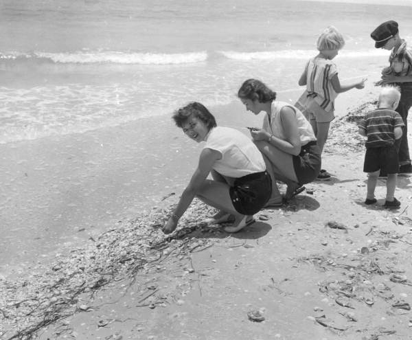 Mrs. Barron with her niece and children collecting shells on the beach - Sanibel Island, Florida.
