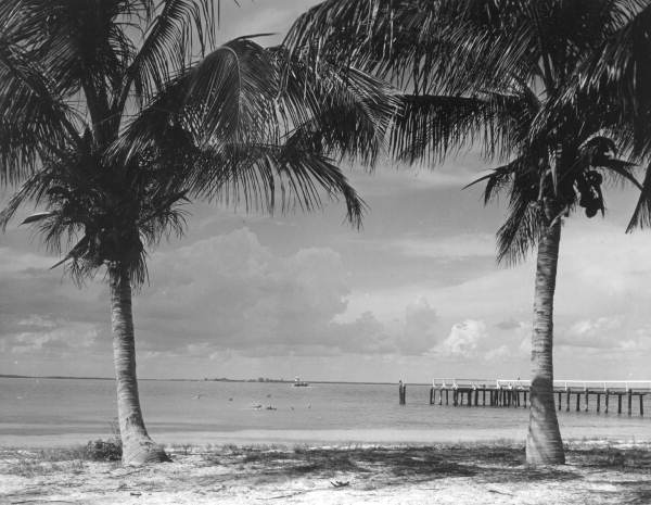 Fishing dock and the beach - Sanibel Island, Florida .