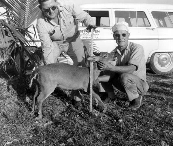 Wild life officer and friend with a key deer - Tavernier, Florida