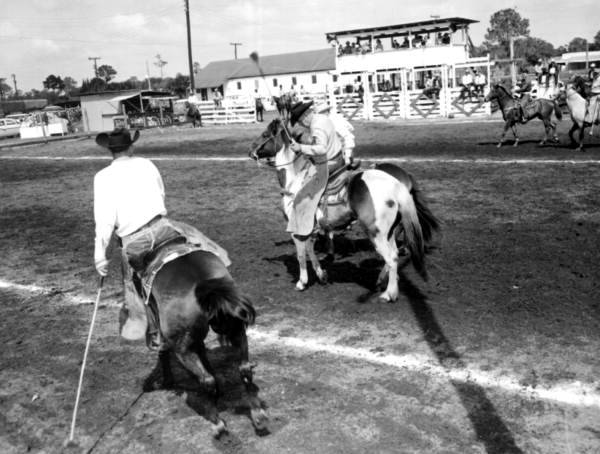 Unidentified cowboys play palmetto polo - New Smyrna Beach, Florida .