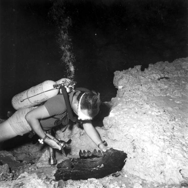 Diver investigates objects in the spring - Wakulla Springs , Florida .