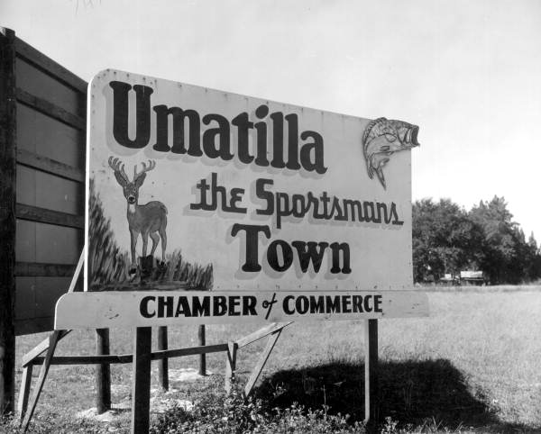 A large signboard of deer hunting and fishing - Umatilla, Florida.