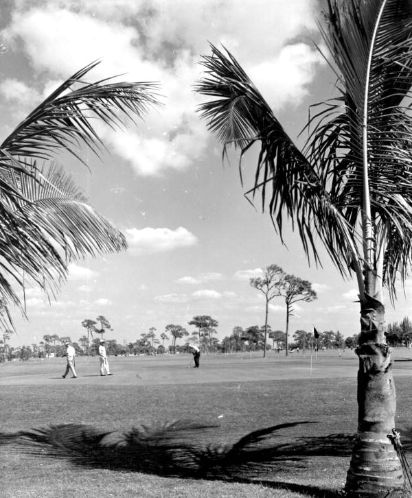 Golfers on the golf course - Naples, Florida