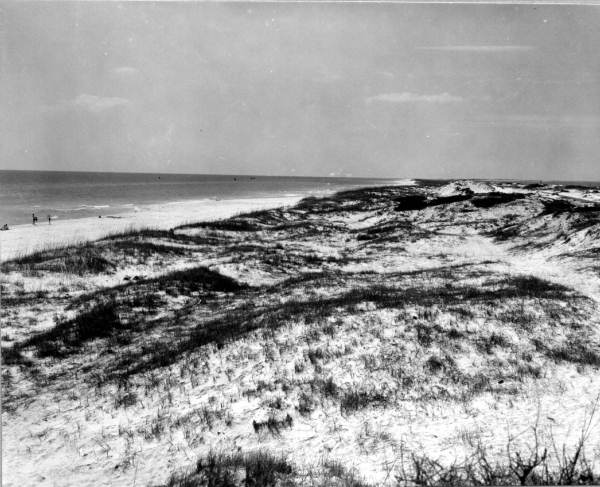 View of grassy sand dunes.