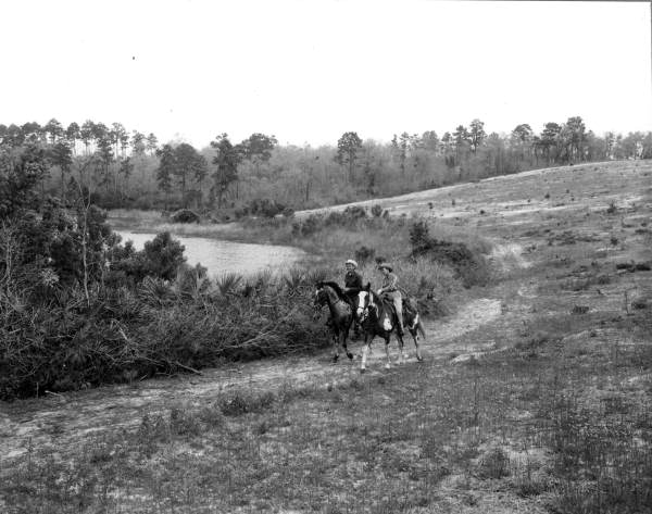 Riders on the trail - Umatilla, Florida