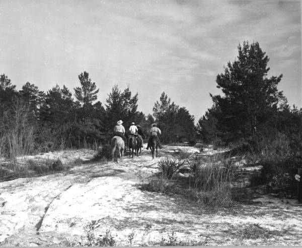 Riders on the trail - Umatilla, Florida