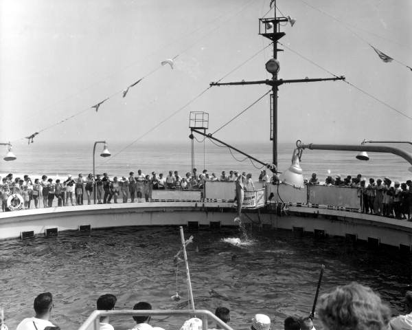 Tourists enjoying a dolphin show at Gulfarium - Fort Walton Beach, Florida