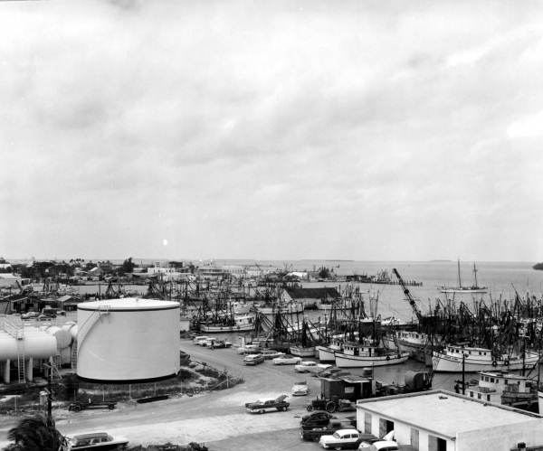Bird's eyeview of a shrimp fleet - Key West, Florida.