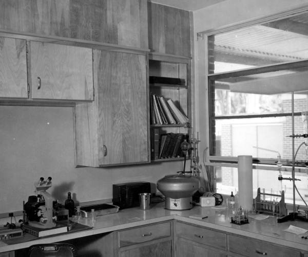 Laboratory at Live Oak Memorial Hospital - Live Oak, Florida