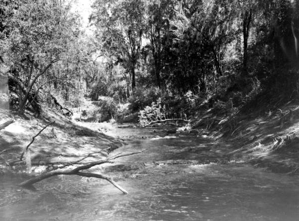 Suwannee River springs