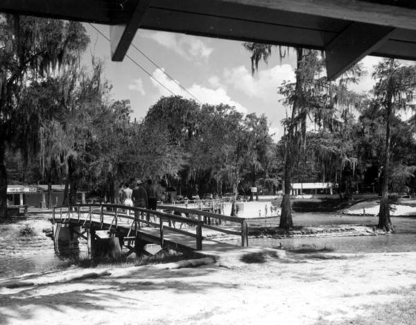 Swimmers enjoy a spring - Gilchrist County, Florida