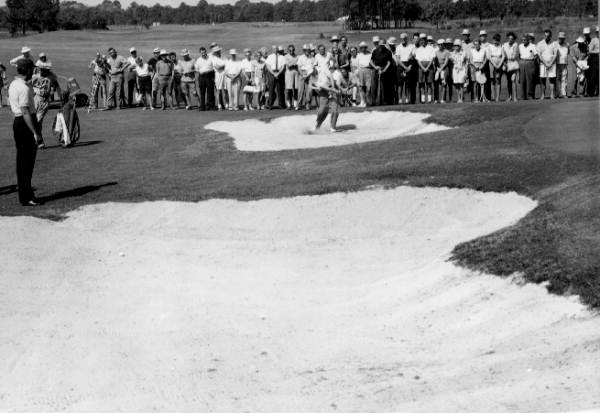 Golfers on the golf course - Bradenton, Florida