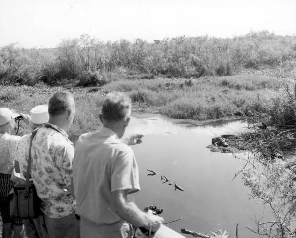National Audubon Society tour of the Everglades