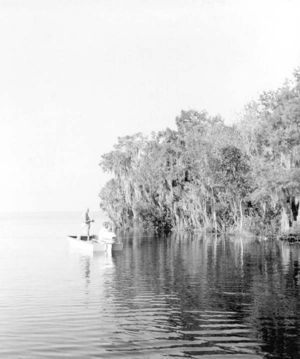 Bass fishing - Welaka, Florida
