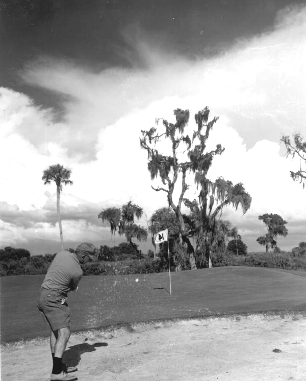 Golfer on the golf course - Bradenton, Florida