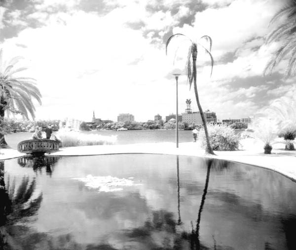 Lake Eola - Orlando, Florida.