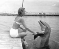 Woman shakes Flipper's flipper - Marathon, Florida.