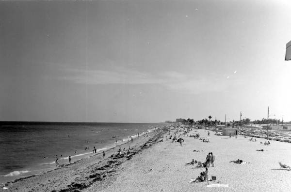 Dania beach