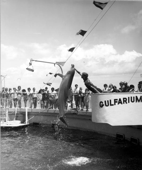Tourists enjoying a dolphin show at Gulfarium - Fort Walton Beach, Florida