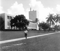 Florida Memory • University of Miami's Merrick Building - Coral Gables ...
