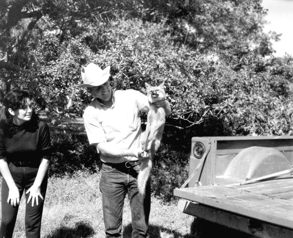 A couple inspecting a captured fox at River Ranch Acres - Polk County, Florida.