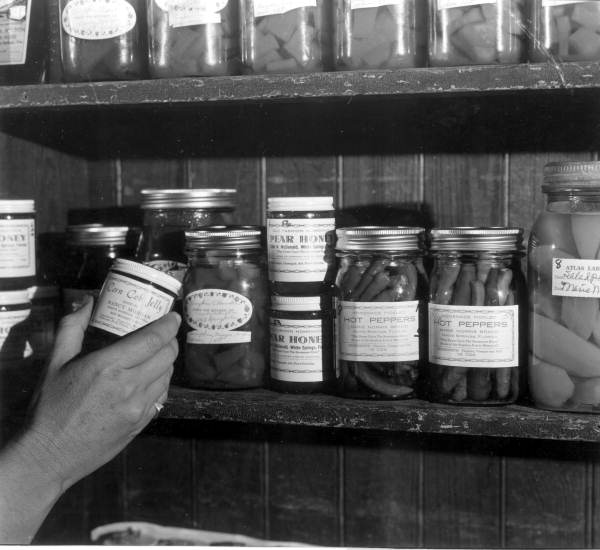 Woman shopping in Adam's country store - White Springs, Florida