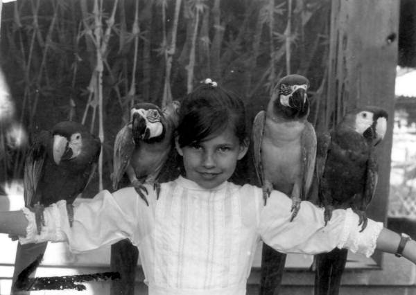 Girl with parrots at Jungle Land - Panama City, Florida