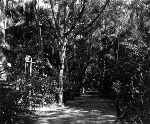 McKee Jungle Gardens - Vero Beach, Florida.
